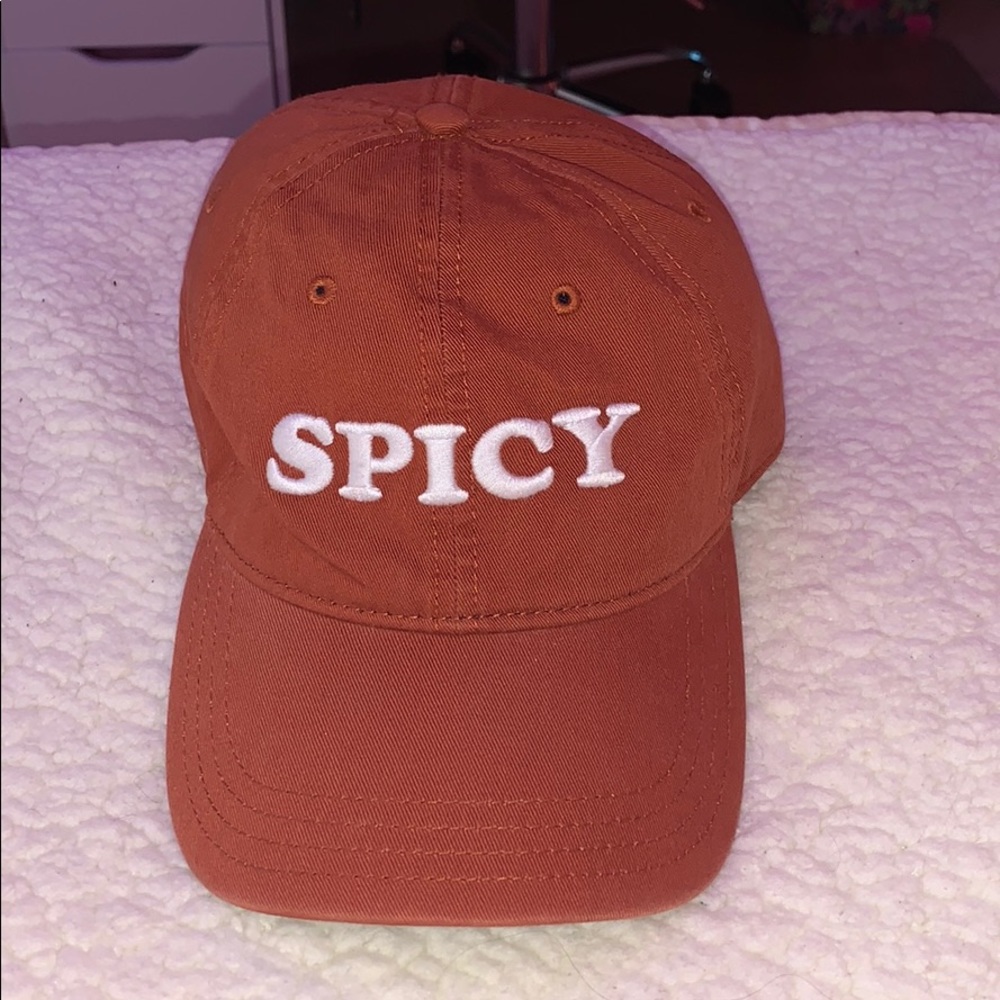 aerie baseball cap